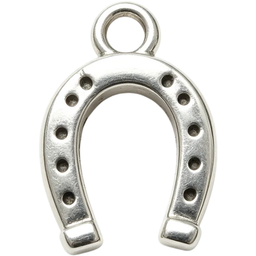 Horseshoe Charm