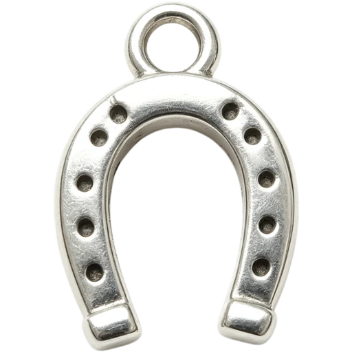 Horseshoe Charm