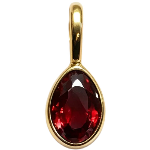 January Garnet Charm