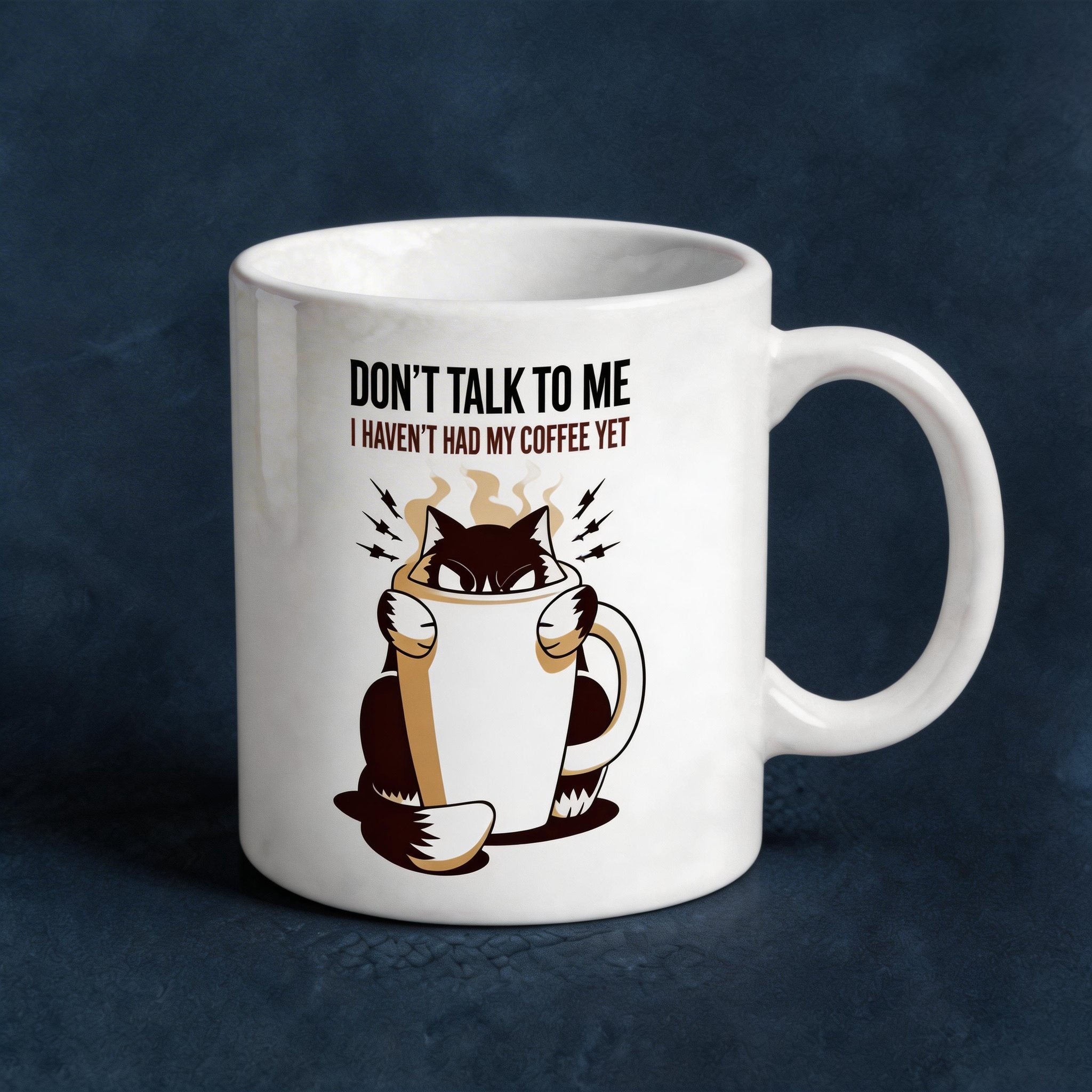 Don't Talk To Me Cat Coffee Mug - Funny Grumpy Morning Gift