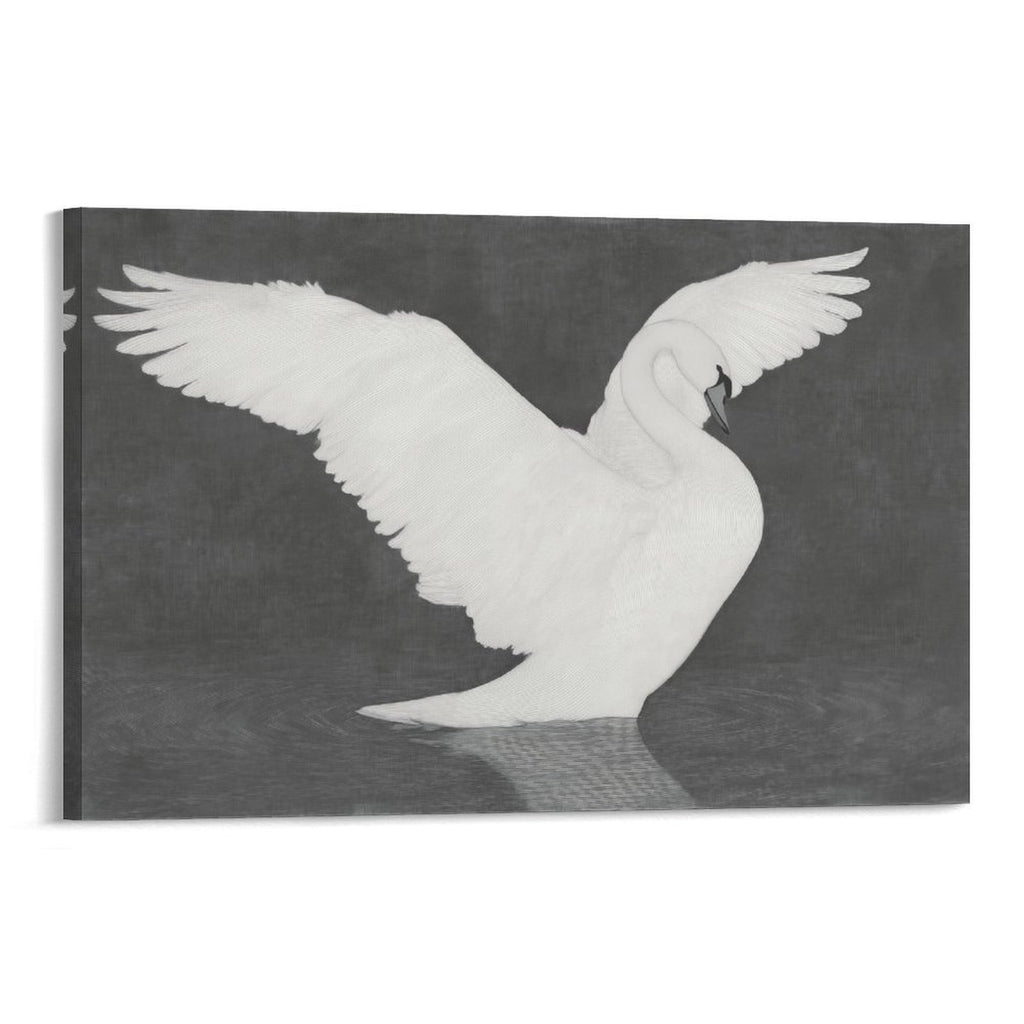 Swan Elegance Framed Art Print (Landscape 3:2) - Monochrome Wildlife Decor