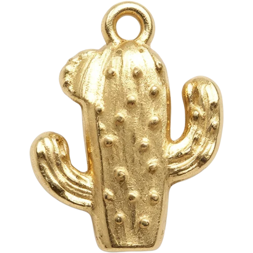 Cactus Charm