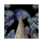 Surreal Forest Canopy Gallery Canvas Print (Square 1:1)
