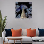 Surreal Forest Canopy Gallery Canvas Print (Square 1:1)