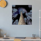 Surreal Forest Canopy Gallery Canvas Print (Square 1:1)