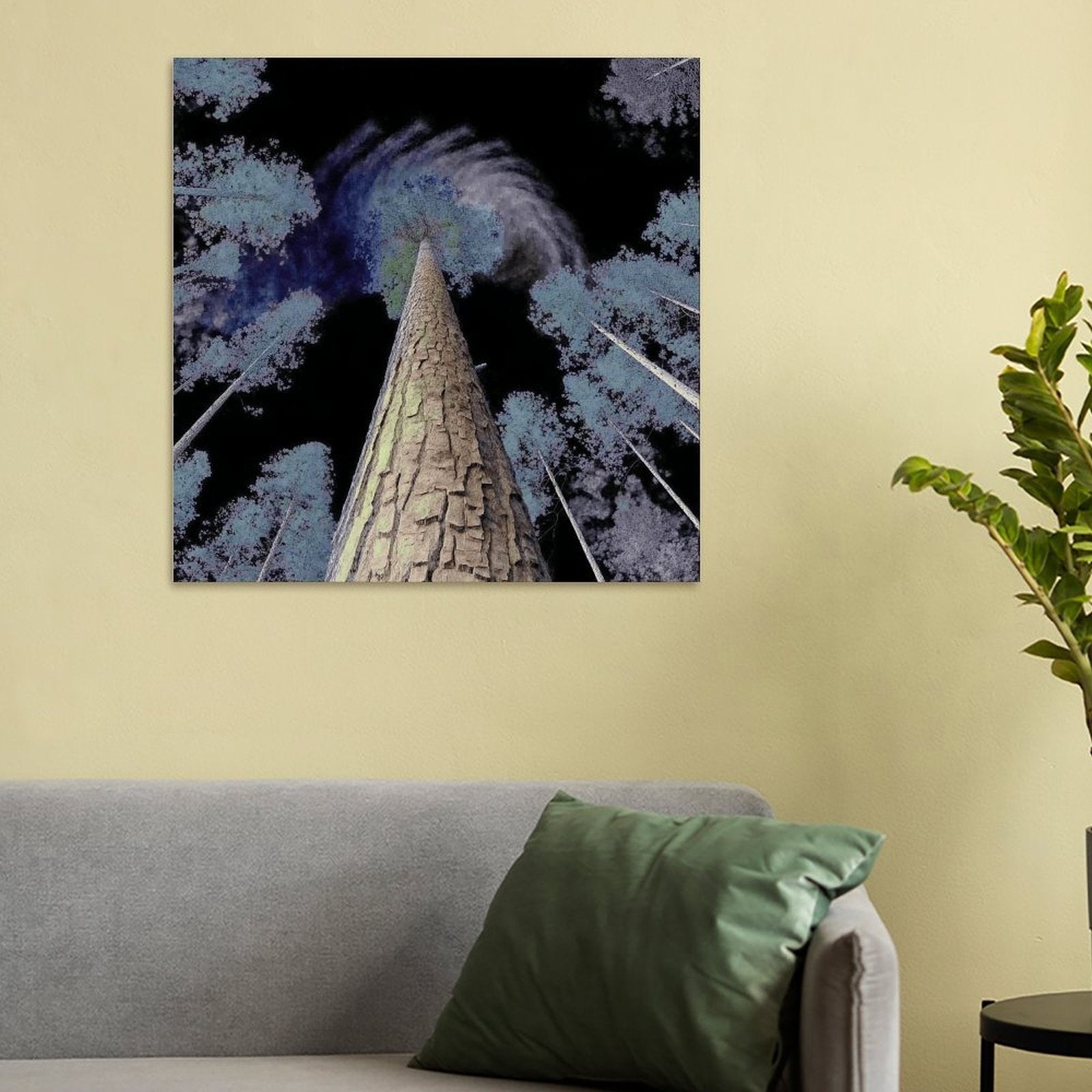 Surreal Forest Canopy Gallery Canvas Print (Square 1:1)