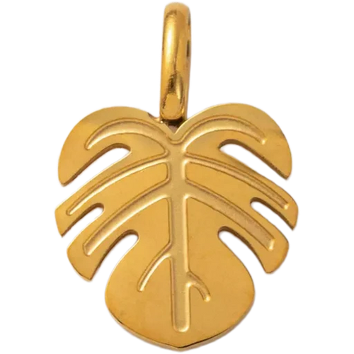 Monstera Leaf Charm