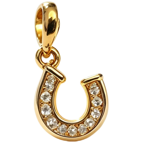 Pave Horseshoe Charm