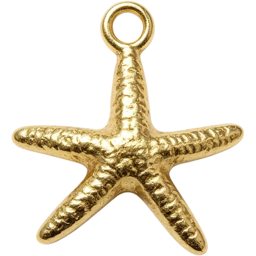 Starfish Charm