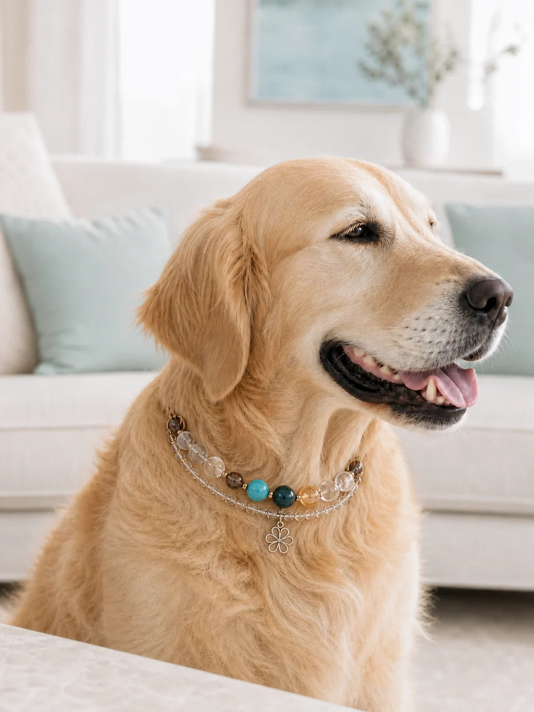 For Pets